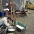 Katerina Kaloudi - Gypsies - Make shift outdoor bathroom in the gypsy camp, Tyrnavos