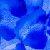 Katerina Kaloudi - A Garden in my Dreams - Be the spectator