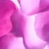 Katerina Kaloudi - A Garden in my Dreams - All is one
